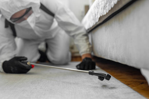 Professional Wasp Control technician working in Grandville, MI