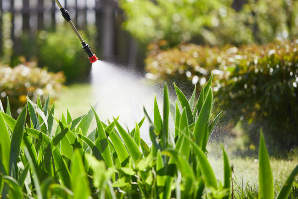 24/7 Emergency Mosquito Control experts in Grandville, MI