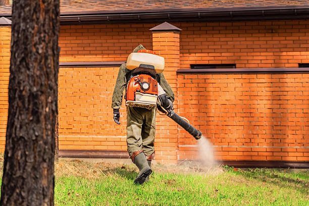 Trusted Mosquito Control service in Grandville, MI - Nex Pest Control